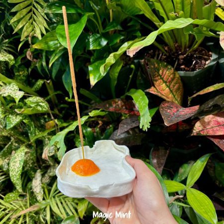 Scrumiera Ou ochi 3 în 1